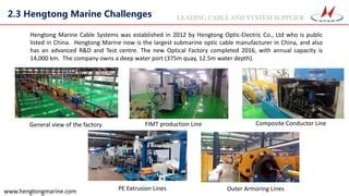 jiangsu hengtong marine cable systems co ltd.